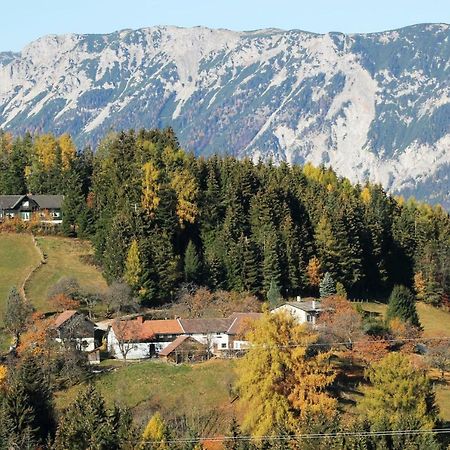 Miniferienwohnung Fuer Unkompliziertes Naturliebhaberpaerchen Payerbach Zewnętrze zdjęcie