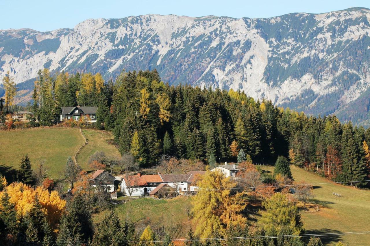Miniferienwohnung Fuer Unkompliziertes Naturliebhaberpaerchen Payerbach Zewnętrze zdjęcie