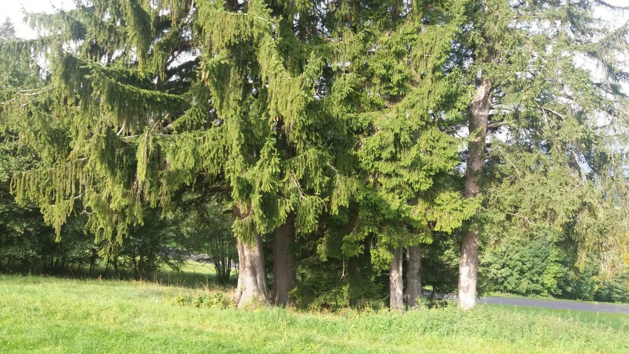 Miniferienwohnung Fuer Unkompliziertes Naturliebhaberpaerchen Payerbach Zewnętrze zdjęcie